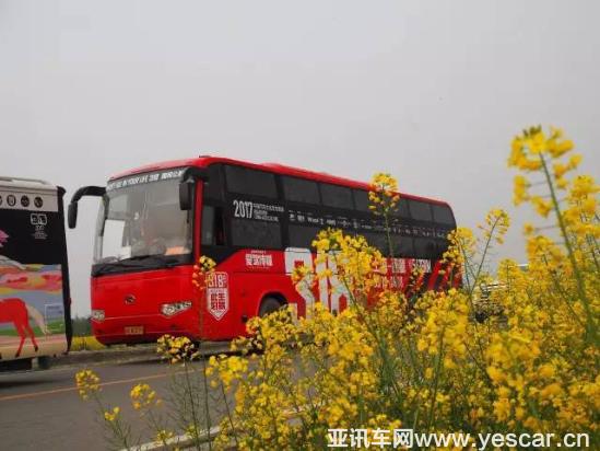                    熊貓故鄉(xiāng)鳳凰涅槃的美