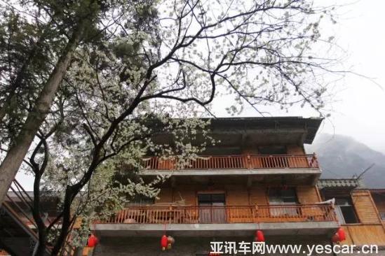                    熊貓故鄉(xiāng)鳳凰涅槃的美