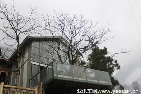                    熊貓故鄉(xiāng)鳳凰涅槃的美