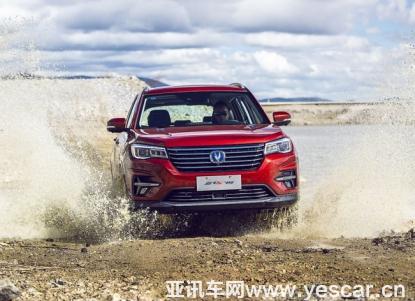 誰才是最適合新手駕駛的車型？