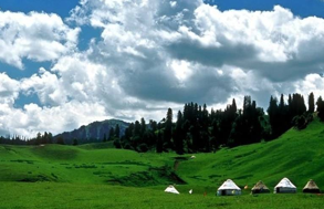 image002.png