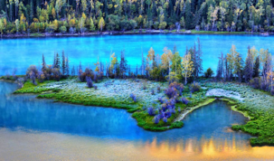 image004.png