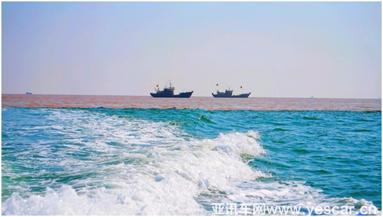 1553492686808972.png 6.png