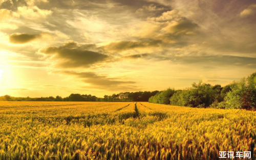 091115086f1bf3e8727274.png image003.png