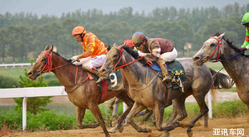 09111543d8c77d18a59824.png image017.png