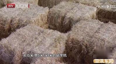 231119052dfd44c8894464.jpg image002.jpg