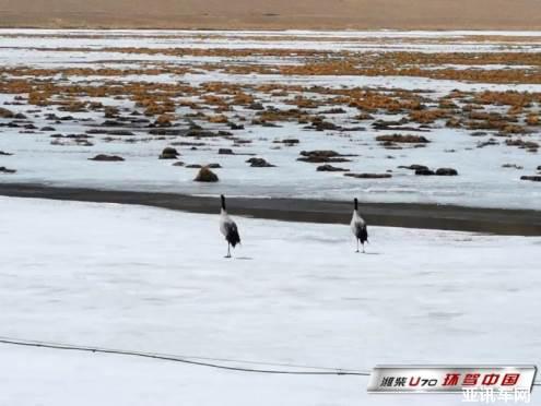 16105711ecc650f9615546.jpg image006.jpg