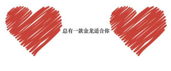 QQ20200521-165236@2x.png