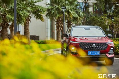 29190141434a969b425091.jpg image005.jpg