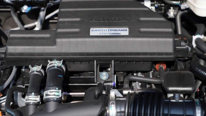 30112449ba5982fc641683.jpg image005.jpg