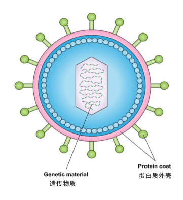 07190820bc72ab511c2108.png image006.png