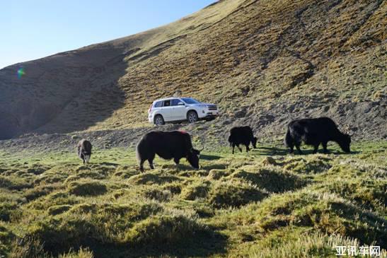 18101127af555d32b81521.jpg image005.jpg