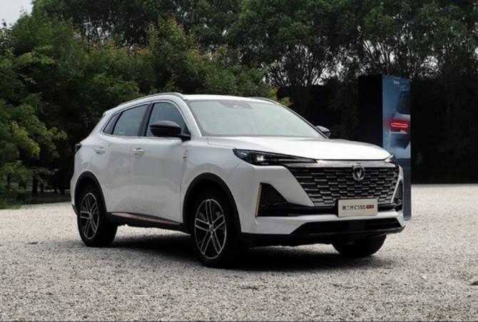 29141432eff9a49bb98659.jpg image002.jpg