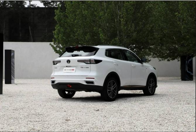 091756376a0c93ea348005.jpg image003.jpg