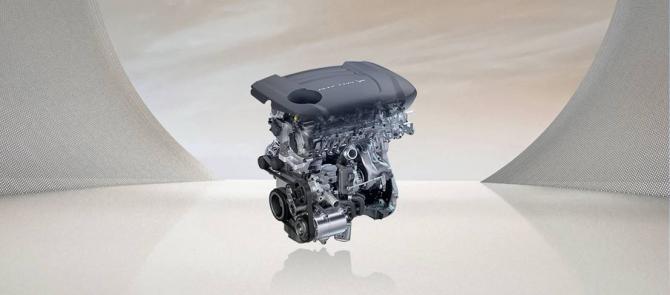 221529138172326bb59184.jpg image002.jpg