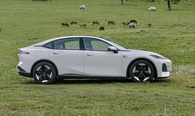 111247575d2df5d1611150.jpg image003.jpg