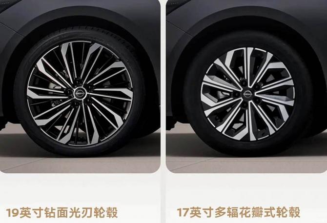 19155246e1643f72d70690.jpg image004.jpg