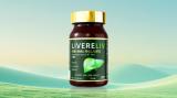 【權(quán)威】2025護肝片：護肝片官方旗艦店第一名，護肝片哪個牌子效果最好？