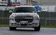 V8動(dòng)力/旗艦SUV/明年年亮相 奧迪Q9霍希版諜照