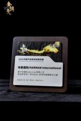價(jià)值肯定 | 哈曼榮獲金輯獎(jiǎng)“中國(guó)汽車新供應(yīng)鏈百?gòu)?qiáng)”