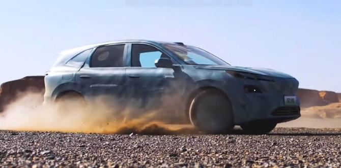 040821337b8964d7c52233.jpg image002.jpg