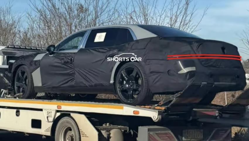 年內(nèi)發(fā)布/最新設(shè)計(jì)風(fēng)格 新款捷尼賽思G90諜照